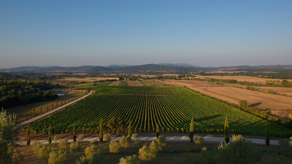 Wine Resort Conti Di San Bonifacio Montemassi Extérieur photo