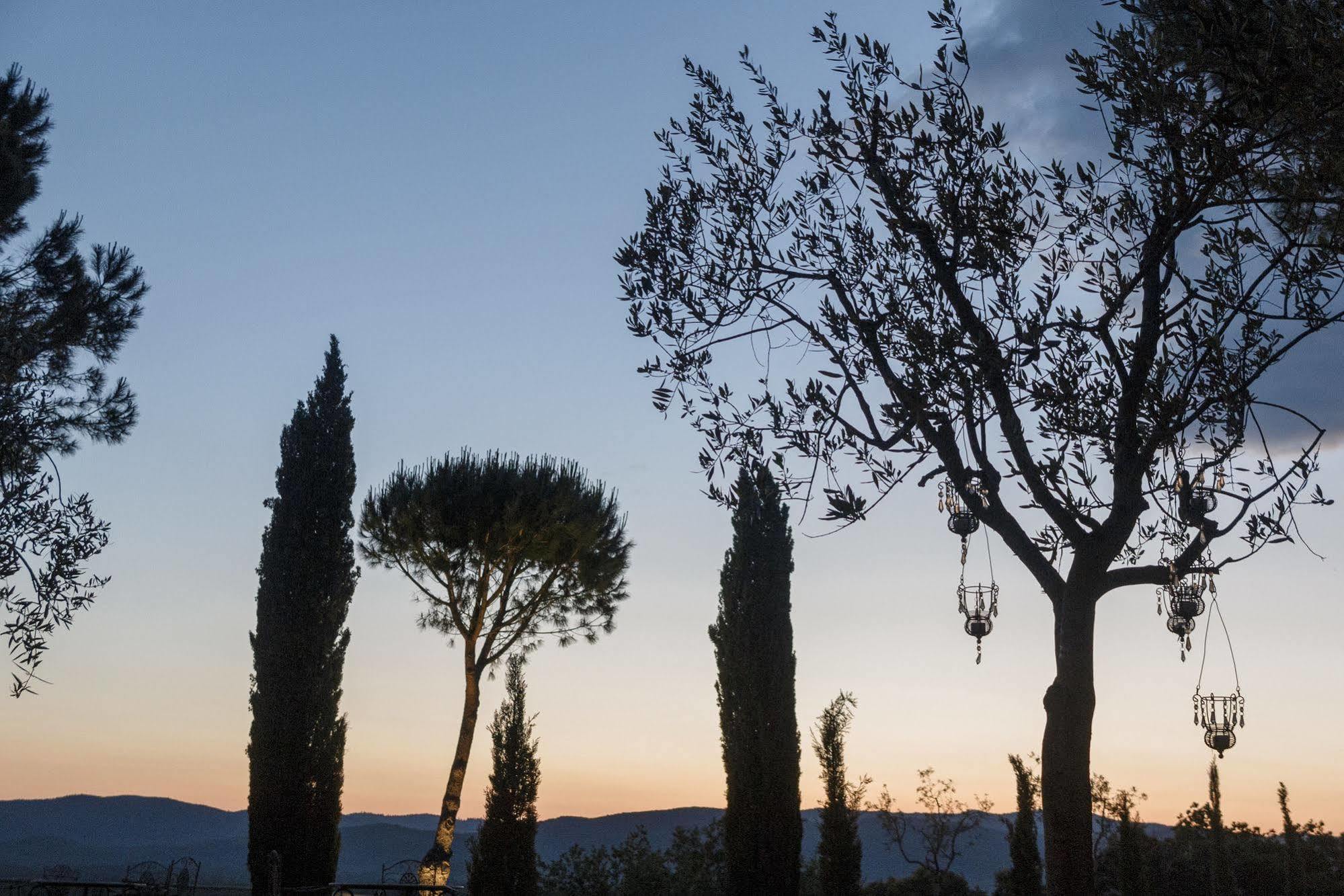 Wine Resort Conti Di San Bonifacio Montemassi Extérieur photo